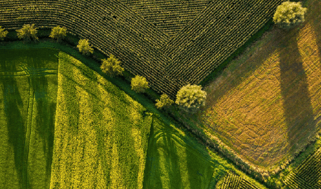 Bioeconomy in Lithuania home 2